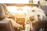 Mobile Auto Repair in Houston, TX Reliable Roadside Assistance